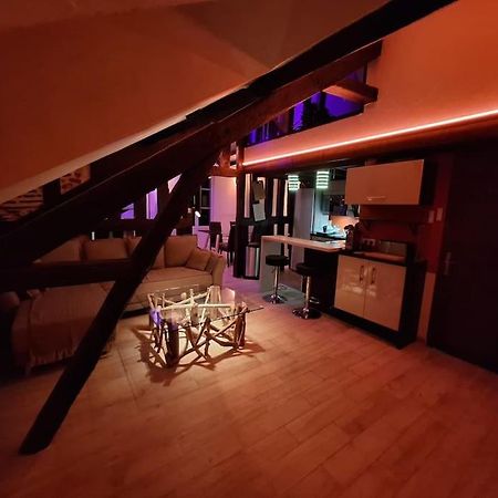 Apartamento Le Perchoir De L'Empereur Orléans Exterior foto
