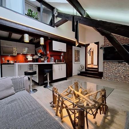 Apartamento Le Perchoir De L'Empereur Orléans Exterior foto