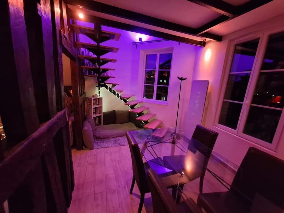 Apartamento Le Perchoir De L'Empereur Orléans Exterior foto