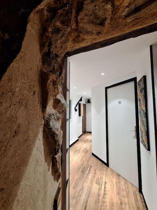 Apartamento Le Perchoir De L'Empereur Orléans Exterior foto
